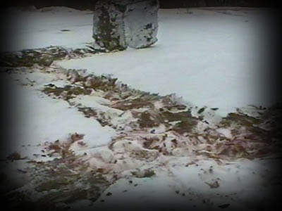 следы экскриментов схимников на свежем снегу